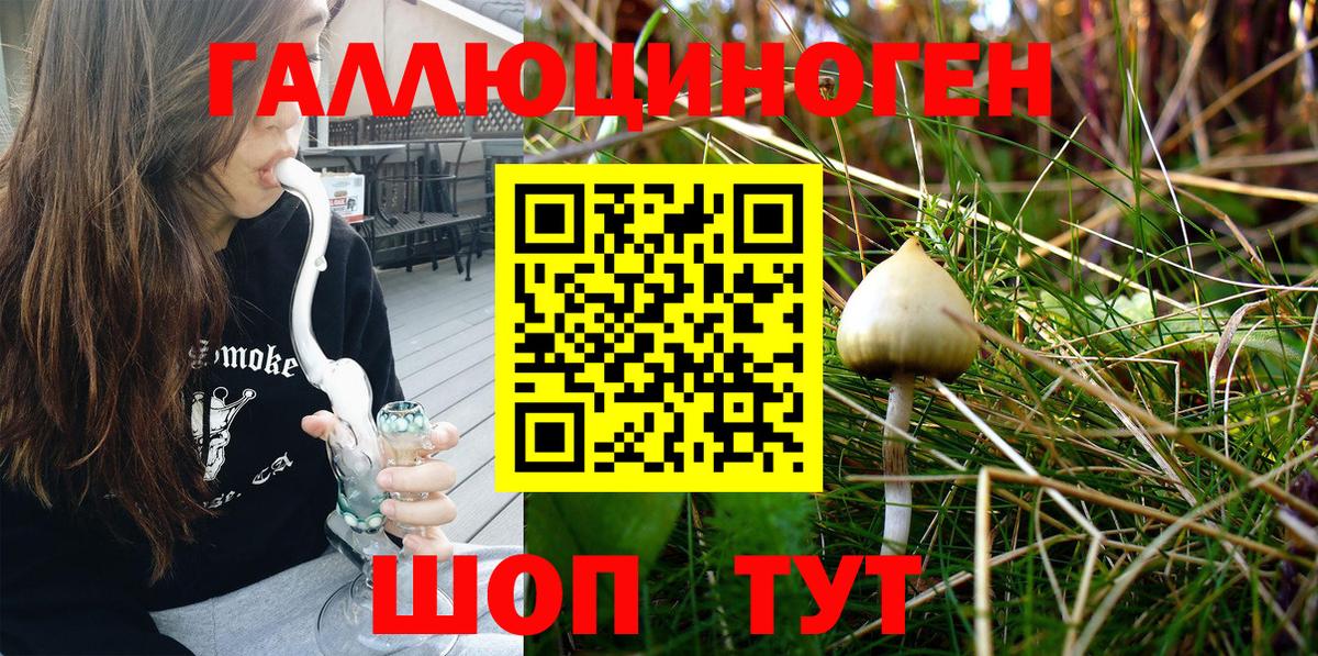 Галлюциногенные грибы Psilocybe Учалы