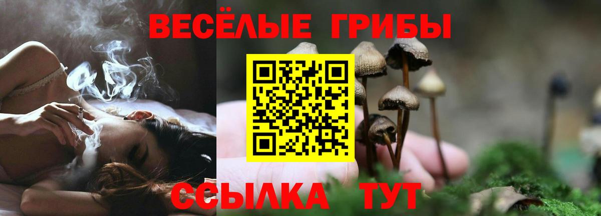 Псилоцибиновые грибы мицелий  Вход с VPN  дарнет шоп  Учалы 